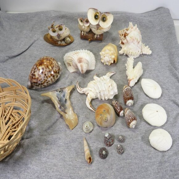 REAL sea shells and vintage Owl figures in woven basket - Picture 2 of 12